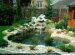 Private House Backyard Photos